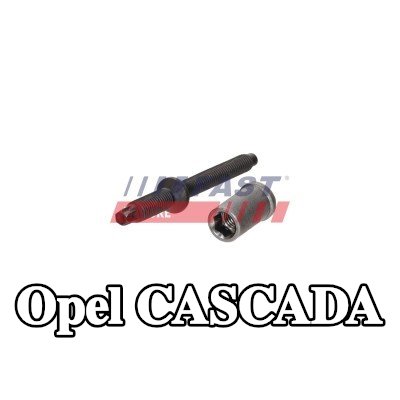 FAST برغي مشبك الحاقن — Opel Cascada