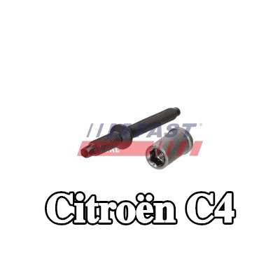 FAST برغي مشبك الحاقن — 2012 Citroën C4