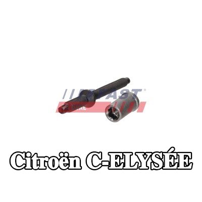 FAST برغي مشبك الحاقن — Citroën C-elysée