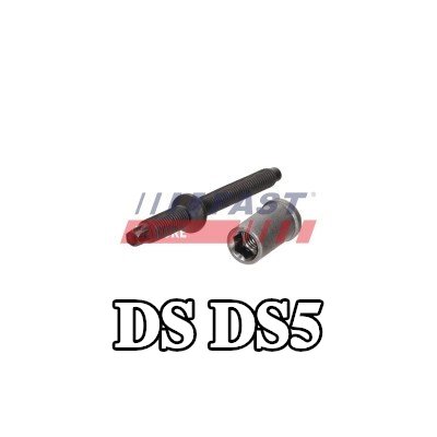 FAST برغي مشبك الحاقن — DS Ds5