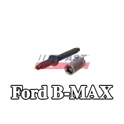 FAST برغي مشبك الحاقن — Ford B-max