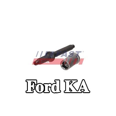 FAST برغي مشبك الحاقن — Ford Ka