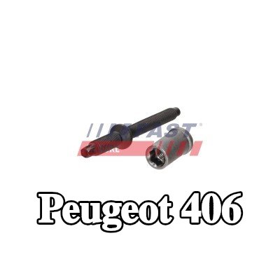 FAST برغي مشبك الحاقن — Peugeot 406