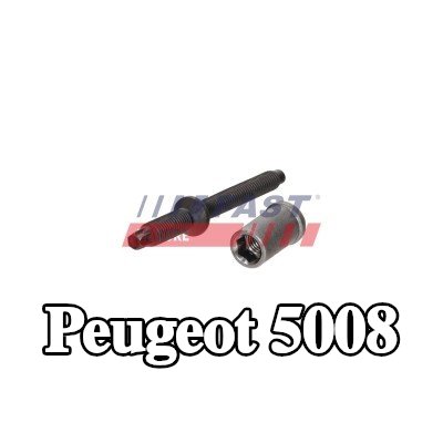 FAST برغي مشبك الحاقن — 2012 Peugeot 5008