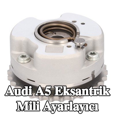 FEBI BILSTEIN Egzoz Tarafı Eksantrik Mili Ayarlayıcı — 2012 Audi A5