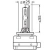 OSRAM Ksenon ampul — 2009 Volkswagen Polo (9)