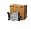 HELLA Intercooler — Renault Duster (2)