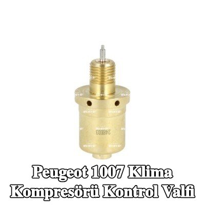 NRF Klima kompresörü kontrol valfi — Peugeot 1007