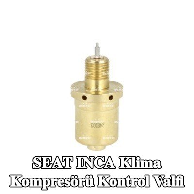 NRF Klima kompresörü kontrol valfi — SEAT Inca