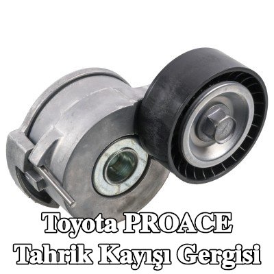 FEBI BILSTEIN Tahrik kayışı gergisi — 2014 Toyota Proace