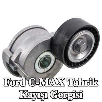 FEBI BILSTEIN Tahrik kayışı gergisi — 2011 Ford C-max