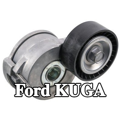 FEBI BILSTEIN مشده حزام المحرك — 2014 Ford Kuga