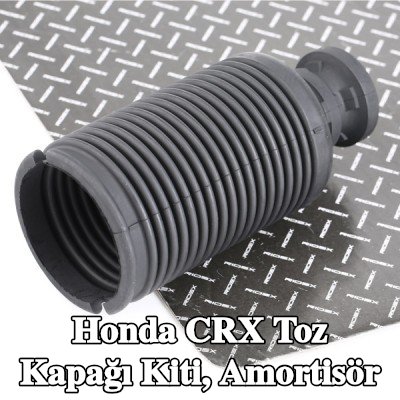 RIDEX Toz kapağı kiti, amortisör Ön Aks — Honda Crx