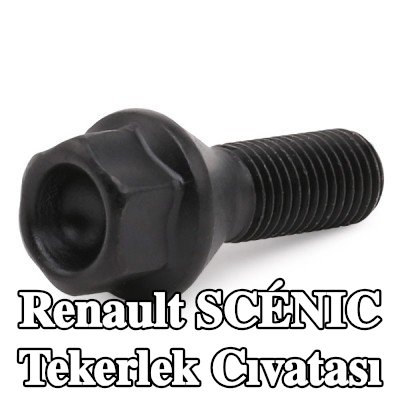 FEBI BILSTEIN Tekerlek Cıvatası 17, 49mm — 2012 Renault Scénic