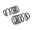 EIBACH Süspansiyon kiti, coil springs / shock absorbers B12 Pro-Kit — 1992 Volkswagen Scirocco (7)