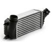 MAHLE Intercooler — Citroën C8 (7)