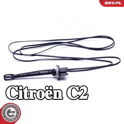 ESEN SKV مستشعر درجة حرارة هواء السحب — Citroën C2