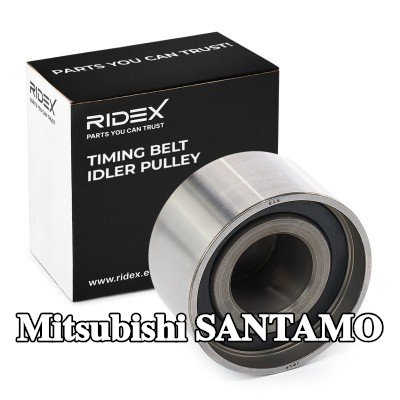RIDEX بكرة انحراف حزام التوقيت — Mitsubishi Santamo