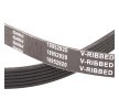 RIDEX PLUS Serpantin kayışı 2140mm, Number of ribs: 6 — Honda Pilot (4)