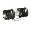 RIDEX Klimalı araçlar için FAN motoru — Ford Escort (2)