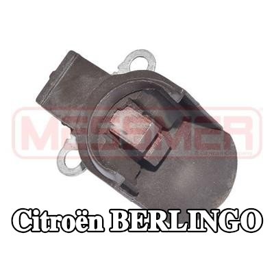 ERA حامل، فرش كربونية — 2012 Citroën Berlingo