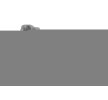 BOGAP Emme havası kontrol valfi — SEAT Inca (2)