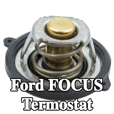 MOTORAD Termostat 54°C, conta halkası ile — Ford Focus