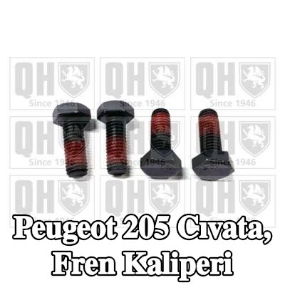 QUINTON HAZELL Cıvata, fren kaliperi — Peugeot 205