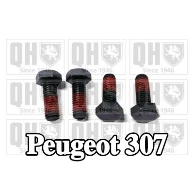 QUINTON HAZELL برغي، مكبس الفرامل — Peugeot 307