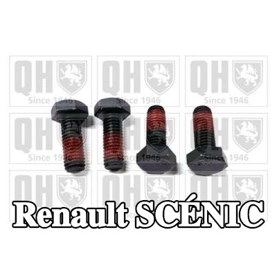 QUINTON HAZELL برغي، مكبس الفرامل — Renault Scénic