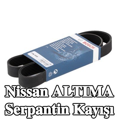 BOSCH Serpantin kayışı 1035mm, Number of ribs: 7 — Nissan Altima