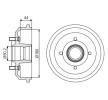 BOSCH Arka aks fren kampanası, 216mm, tekerlek yatağı ile — Ford Puma (1)