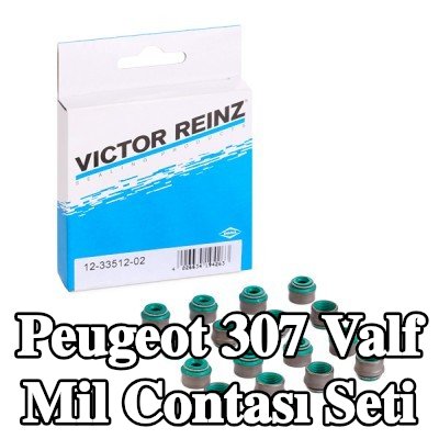 REINZ Valf mil contası seti — Peugeot 307