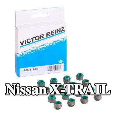 REINZ مجموعة سدادات صمامات الصمامات — Nissan X-trail