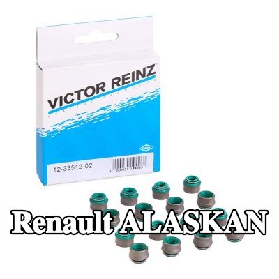 REINZ مجموعة سدادات صمامات الصمامات — Renault Alaskan