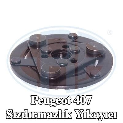 ERA Sızdırmazlık Yıkayıcı — Peugeot 407