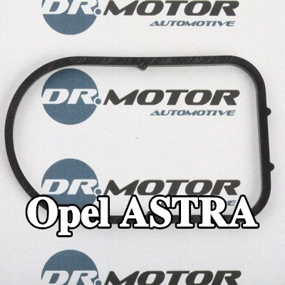 DR.MOTOR AUTOMOTIVE حشية، مضخة تفريغ — 2000 Opel Astra