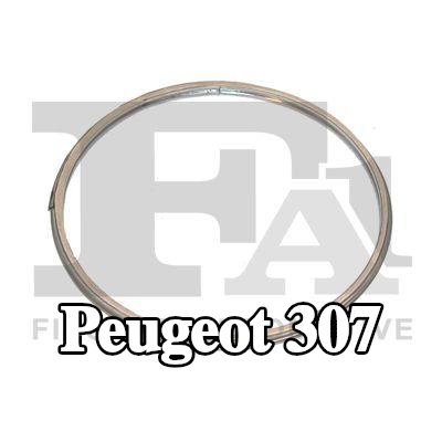 FA1 مانع تسرب، أنبوب العادم — Peugeot 307