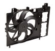VALEO Fan, tutuculu radyatör — Citroën C5 (2)