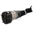 FEBI BILSTEIN Hava süspansiyon amortisörü Ön Aks Sol, Ön Aks Sağ — 2012 Mercedes-Benz S-Class (5)