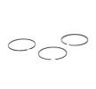 MAHLE Piston Segman Kiti — Nissan Interstar (2)