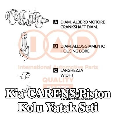 IAP QUALITY PARTS Piston Kolu Yatak Seti — Kia Carens