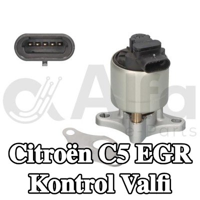 Alfa e-Parts Conalı/sızdırmazlık elemanlı EGR kontrol valfi — 2002 Citroën C5