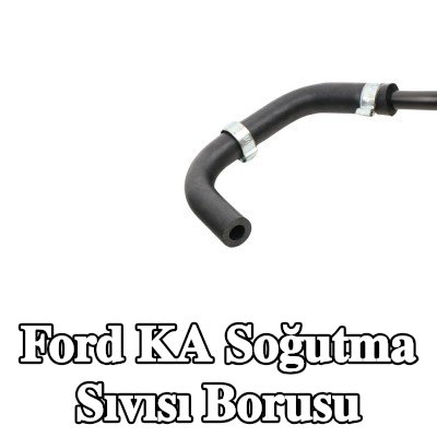 FAST Soğutma suyu borusu - Ana Genleşme Deposu — 2017 Ford Ka
