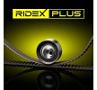 RIDEX PLUS Zincir Tahrik Kiti Diş Sayısı: 148 — Renault Sport Spider (6)
