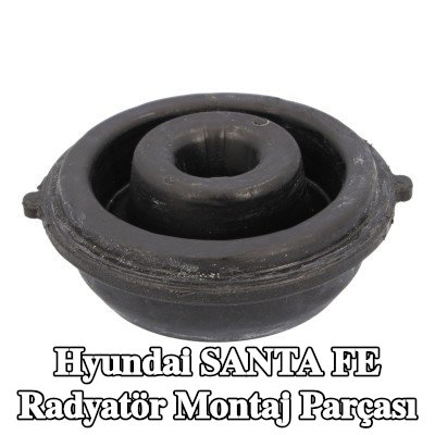 FEBI BILSTEIN Radyatör montaj parçası — Hyundai Santa Fe