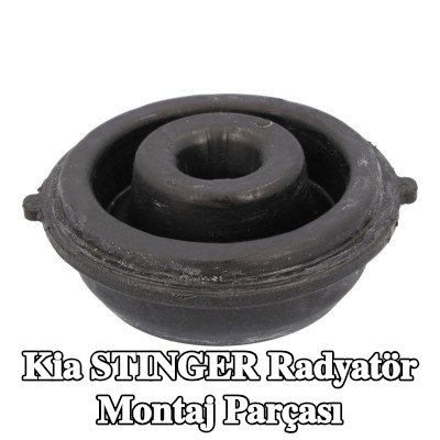 FEBI BILSTEIN Radyatör montaj parçası — Kia Stinger