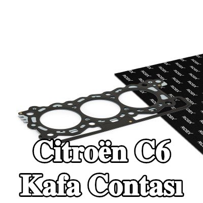 RIDEX Kafa contası 1, 22mm — Citroën C6