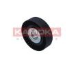 KAMOKA Saptırma / kılavuz kasnağı, V-ribbed belt Outer Diameter: 100mm, aksesuarsız — 1995 Nissan Sunny (2)