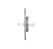 BOSCH Fren diski Dış Çap: 290mm, düz, Kaplamalı, cıvata/vida ile — DS Ds4 (2)